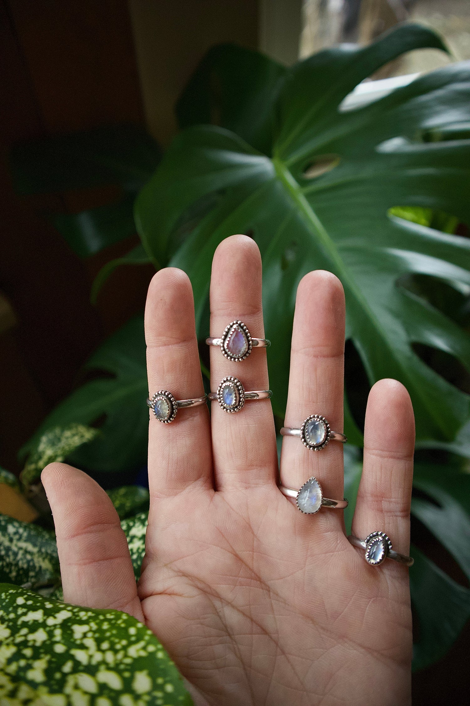 Moonstone Collection